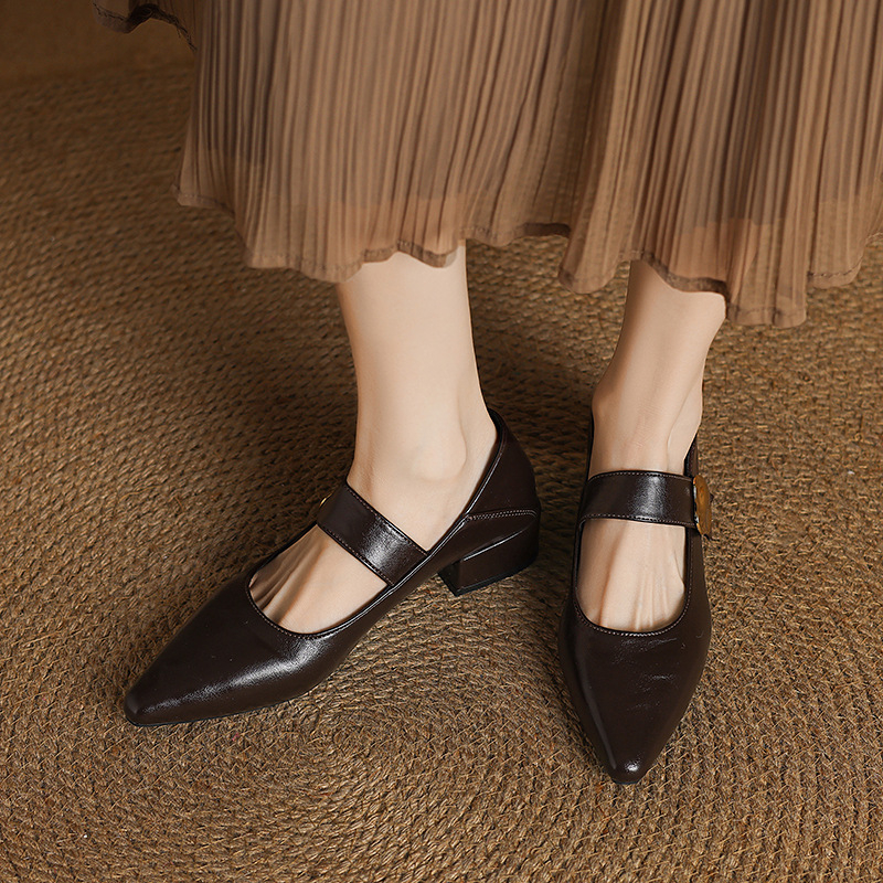 Dječje cipele s niskom petom Mary Jane, novi dolazak za jesen 2024., haljine, smeđe, špicaste francuske, nježne ženske cipele, pojedinačne cipele