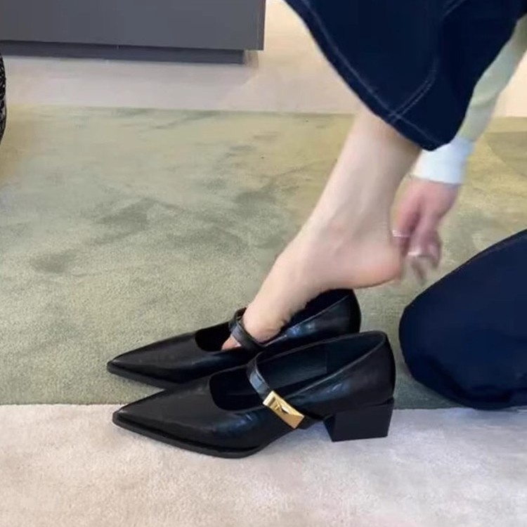 Ženske kožne cipele sa špicastim vrhom, nove proljetne i jesenske ljetne cipele iz 2025., debele, niske i visoke, retro francuske Mary Jane cipele