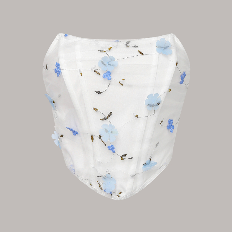 Ευρωπαϊκή και αμερικανική διασυνοριακή μόδα χωρίς στράπλες κέντημα ψαροκόκαλο πεταλούδα niche ins στυλ σχεδιασμός γυναικείο στράπλες τοπ 60650