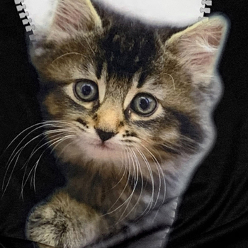 Ευρώπη και Ηνωμένες Πολιτείες διασυνοριακό Amazon ebay best-seller τρισδιάστατο μοντέρνο γυναικείο μπλουζάκι με στρογγυλή λαιμόκοψη και κοντομάνικο για την άνοιξη και το καλοκαίρι TEMU