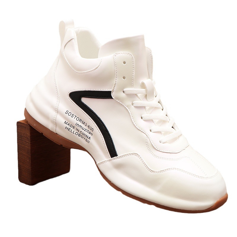 Meeste poolsääreni ulatuvad vabaajajalatsid, trendikad, paksu tallaga, kõrgendatud spordijalatsid, niššnahast tallaga meestejalatsid piiriülese väliskaubandusega