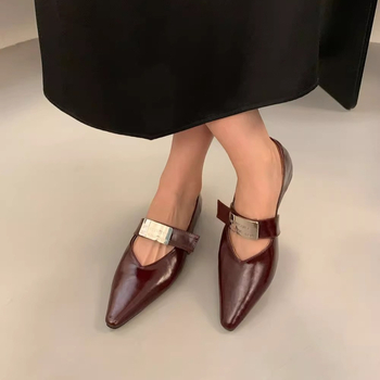 Francia stílusú, egyrétegű cipők, női cipők, 2024-es új, őszi és téli koreai stílusú, egykarakteres ezüst Mary Jane cipők, esti széllel, hegyes orrú