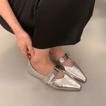 Γυναικεία παπούτσια μονής στρώσης γαλλικού στιλ 2024 Νέα φθινοπωρινά και χειμερινά κορεάτικα παπούτσια Mary Jane μονής στρώσης σε ασημί χρώμα με μυτερή μύτη και βραδινό άνεμο