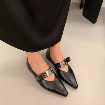 Γυναικεία παπούτσια μονής στρώσης γαλλικού στιλ 2024 Νέα φθινοπωρινά και χειμερινά κορεάτικα παπούτσια Mary Jane μονής στρώσης σε ασημί χρώμα με μυτερή μύτη και βραδινό άνεμο