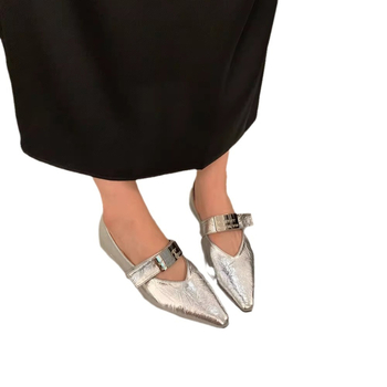 Γυναικεία παπούτσια μονής στρώσης γαλλικού στιλ 2024 Νέα φθινοπωρινά και χειμερινά κορεάτικα παπούτσια Mary Jane μονής στρώσης σε ασημί χρώμα με μυτερή μύτη και βραδινό άνεμο