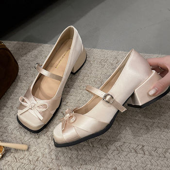 Γυναικεία Παπούτσια Mary Jane 2025 Νέα Άνοιξη All-match Παπούτσια Γυναικεία Παπούτσια με Μεσαίο Τακούνι Φόρεμα Γαλλικού Στυλ Χοντρό Τακούνι Τετράγωνη Μύτη Παπούτσια Μονής στρώσης