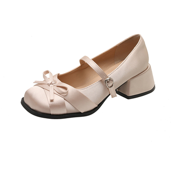 Γυναικεία Παπούτσια Mary Jane 2025 Νέα Άνοιξη All-match Παπούτσια Γυναικεία Παπούτσια με Μεσαίο Τακούνι Φόρεμα Γαλλικού Στυλ Χοντρό Τακούνι Τετράγωνη Μύτη Παπούτσια Μονής στρώσης