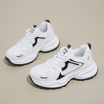 Παπούτσια του Μπαμπά για Γυναίκες 2024 Νέα Φθινοπωρινά Λευκά Γυναικεία Παπούτσια Ευέλικτα Παπούτσια με Μικρό Διχτυωτό Υλικό, Αναπνέοντα Παπούτσια από Διχτυωτό Υλικό, Αθλητικά Παπούτσια για Γυναίκες