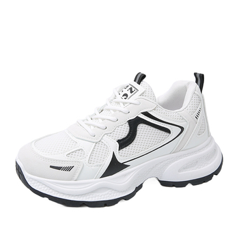 Παπούτσια του Μπαμπά για Γυναίκες 2024 Νέα Φθινοπωρινά Λευκά Γυναικεία Παπούτσια Ευέλικτα Παπούτσια με Μικρό Διχτυωτό Υλικό, Αναπνέοντα Παπούτσια από Διχτυωτό Υλικό, Αθλητικά Παπούτσια για Γυναίκες