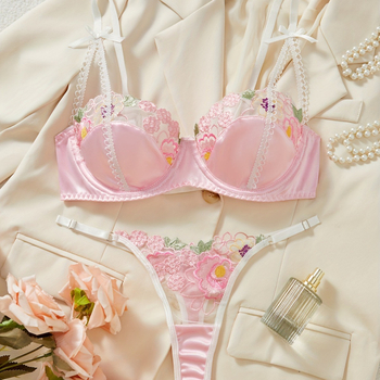 INS Europos ir Amerikos prancūzų tarpvalstybinis seksualus siuvinėtas liemenėlė, madinga nauja tinklelio pagunda, seksualus, patogus intymus rinkinys