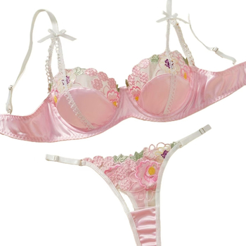 INS Europos ir Amerikos prancūzų tarpvalstybinis seksualus siuvinėtas liemenėlė, madinga nauja tinklelio pagunda, seksualus, patogus intymus rinkinys