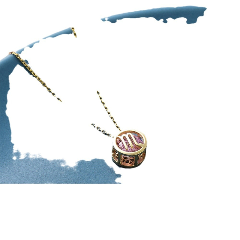 Kahepoolne õõnes kaheteistkümne tähtkujuga kaelakee, mis sobib kaheteistkümne sünnipäeva õõnes tsirkoonist ripatsiga, kullatud värvikinnitusega