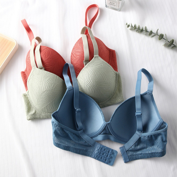 Euroopa ja Ameerika Ühendriikide piiriülene pitsist terasest rõngastega prantsuse rinnahoidja, õhuke toestusega kortsudega aluspesu, Amazoni sõltumatu jaama OZON laos.