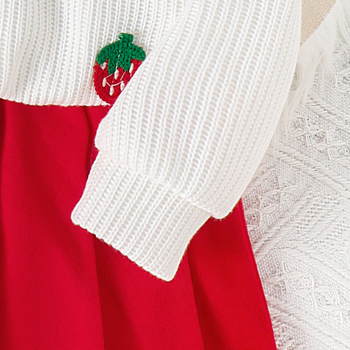 Jesenný pletený kardigan s výbuchmi zahraničného obchodu pre nové dievčatá s jahodovou výšivkou a červenou krátkou skladanou sukňou, dvojdielna súprava