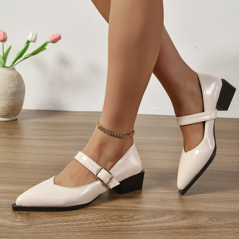Dámske topánky 2024 Nové francúzske štýlové balerínky s hrubým podpätkom a špicatou špičkou Mary Jane na jar a jeseň vo francúzskom vintage štýle