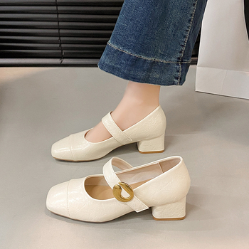 Άνοιξη 2025 Νέα Γαλλικά Παπούτσια με Ρετρό Τετράγωνη Δάχτυλη και Ρηχό Στόμα, Γυναικεία Παπούτσια με Μεσαίο Τακούνι, Άνοιξη και Φθινόπωρο, Βραδινά Παπούτσια με Κομψό Τακούνι Νεράιδας