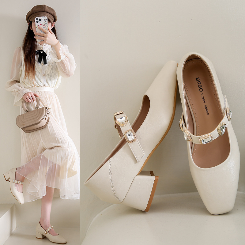 Ženske cipele Mary Jane s plitkim ustima, debelom petom, 2025., nove prekrasne cipele s malom petom, ženske cipele s četvrtastim vrhom i metalnom kopčom, srednja peta, vintage