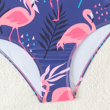 Εξωτερικό Εμπόριο Νέο Παιδικό Μαγιό για Κορίτσια με Κινούμενα Σχέδια Φλαμίνγκο, Ολόσωμο Μαγιό για Κορίτσια με Βολάν