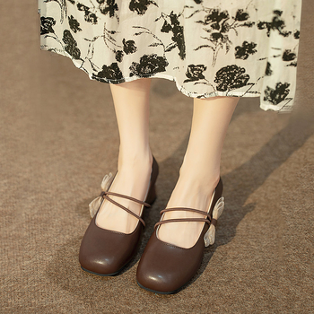 Mary Jane cipele ženske jesenske 2023. nove korejske okrugle cipele s debelom petom, ženske cipele s mašnom i plitkim ustima, veleprodaja tvornice