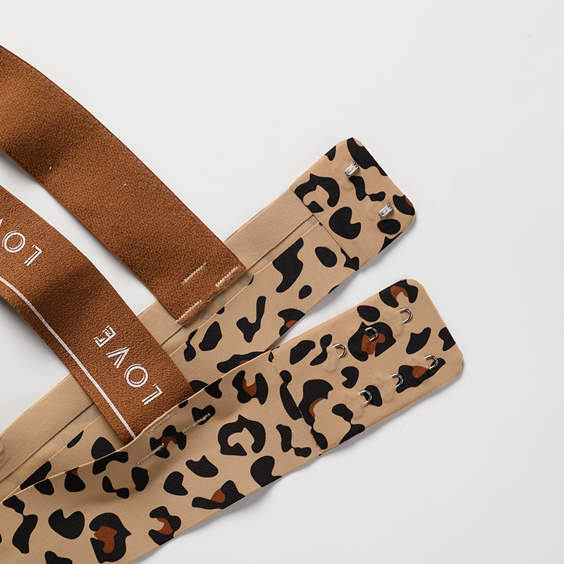 Euroopa ja Ameerika suurte intiimsete komplektide seksikas kirjaga õlarihmadega mugav jääsiidist õmblusteta leopardimustriga kiusatuse naiste rinnahoidja