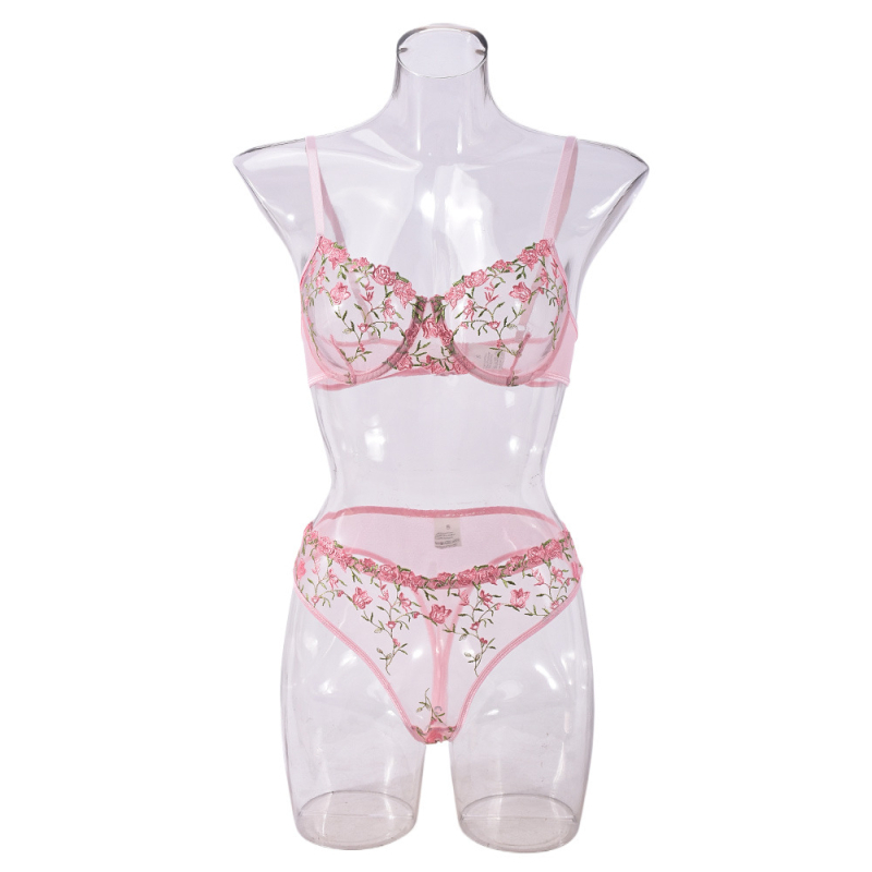 pesu Euroopa ja Ameerika Ühendriikide piiriülene plahvatusohtlik rinnahoidja perspektiiv ahvatlus seksikas võrkkangas seksikas aluspesu ülikond naistele