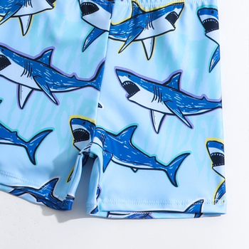 Užsienio prekybos Europa ir Amerika vasaros berniukų maudymosi kostiumėlių kelnių komplektas, padalintas ilgomis rankovėmis, 3 dalių maudymosi kostiumėlio komplektas