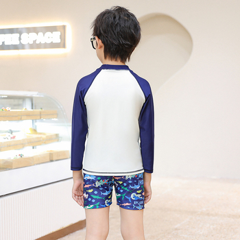 Novi dječji kupaći kostim s crtanim printom iz 2024., sportski kupaći kostim s dugim rukavima za dječake, veleprodaja