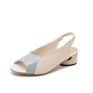 Ljeto 2024. Nove europske i američke sandale s otvorenim prstima, debelom petom, moderne, s kopčom od jedne riječi, plus size, ženske sandale s ribljim ustima za vanjsku trgovinu