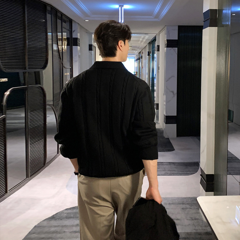 ASCLO zimný teplý klopový sveter pre mužov v kórejskom štýle, pekný, vysoko kvalitný, vynikajúci konopný vzor, voľný top