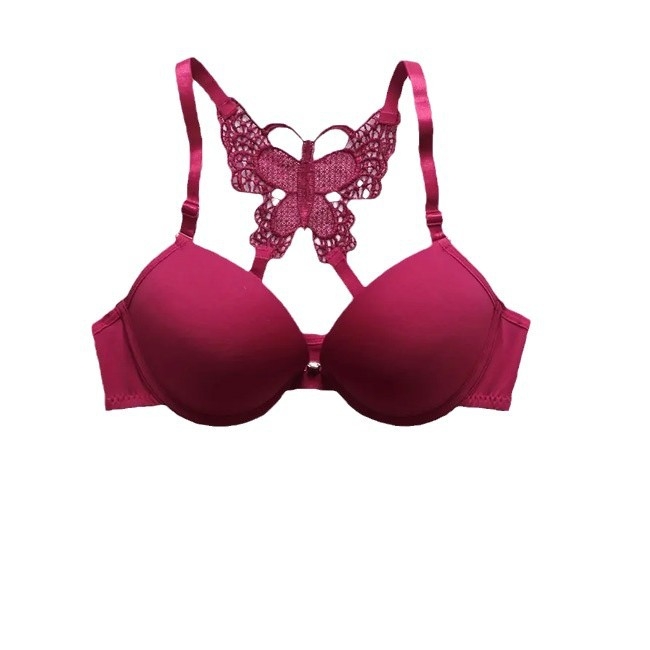 Suvine uus stiil pitsist liblikõielise rinnahoidja tüdrukutele, ilus tagant ees pandlaga rinnahoidja, seksikas õmblusteta traadiga push-up rinnahoidja eesmise pandlaga