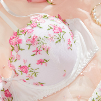 Ο κατασκευαστής Y εστιάζει σε διασυνοριακά σέξι εσώρουχα σε στυλ καλουπιού με κέντημα, χονδρική πώληση σετ σέξι εσωρούχων 23230