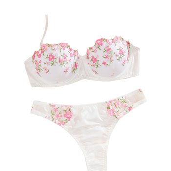 Ο κατασκευαστής Y εστιάζει σε διασυνοριακά σέξι εσώρουχα σε στυλ καλουπιού με κέντημα, χονδρική πώληση σετ σέξι εσωρούχων 23230