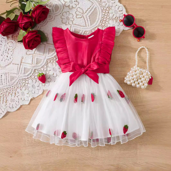 Európske a americké detské oblečenie, letné sieťované princeznovské dievčenské šaty bez rukávov, detská princeznovská sukňa