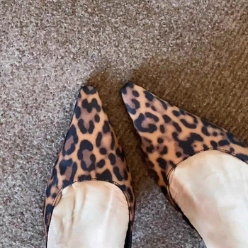 2025 m. pavasario madingi leopardo rašto aukštakulniai, seksualūs, temperamentingi, stiletiniai bateliai, užsienio prekybos moteriški bateliai, banga