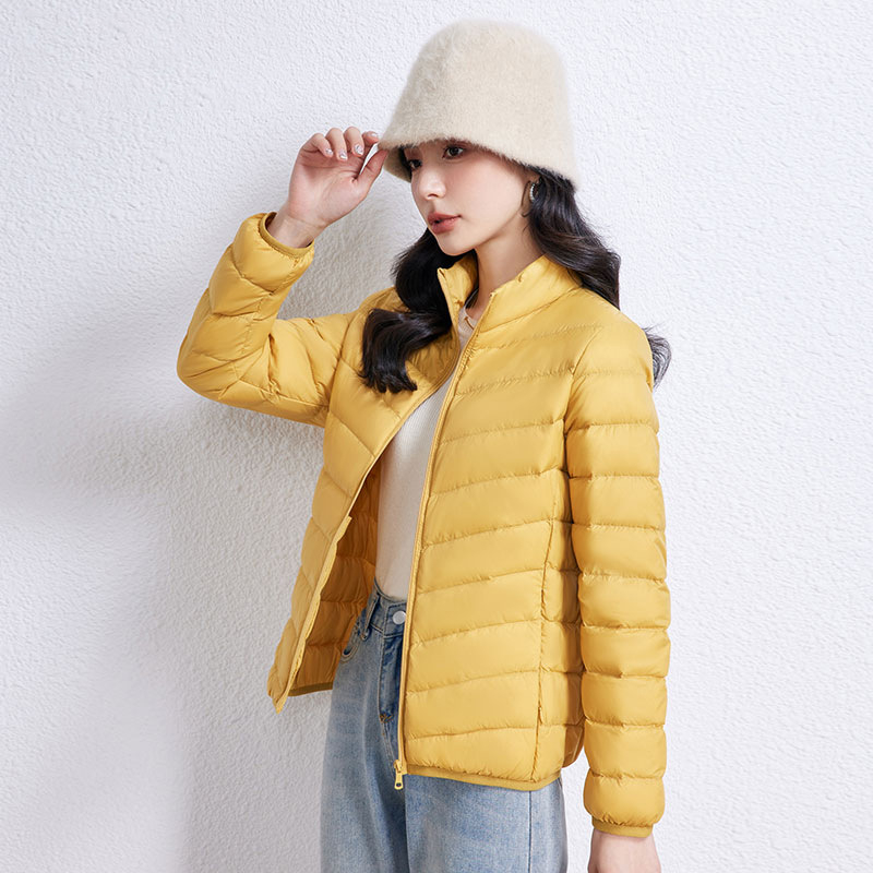 Lengva, trumpa pūkinė striukė moterims, 2024 m., nauja, vertikalia apykakle, gobtuvu, plius 90 dydžio, baltas, ančių pūkų madingas žieminis paltas.