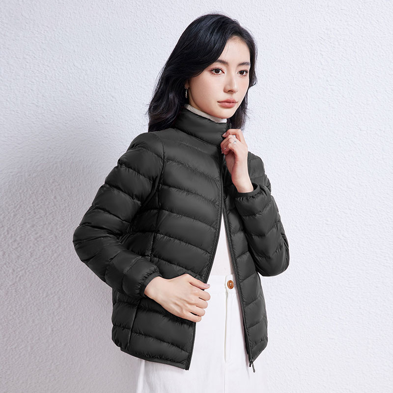 Lengva, trumpa pūkinė striukė moterims, 2024 m., nauja, vertikalia apykakle, gobtuvu, plius 90 dydžio, baltas, ančių pūkų madingas žieminis paltas.