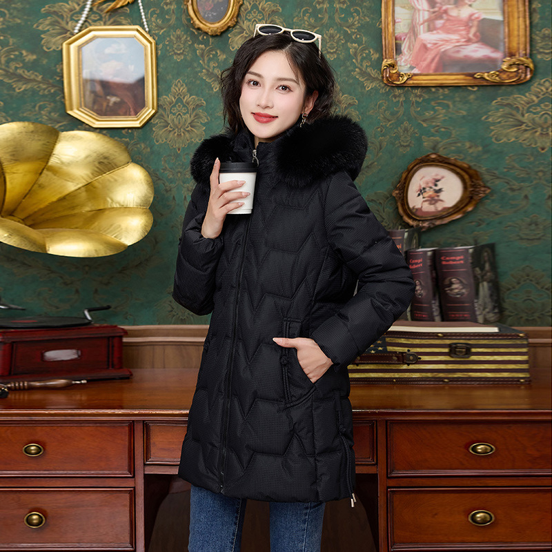 Moodne talvine puuvillase polstriga riided naiste fliisvoodriga polsterdatud puuvillase polstriga jope 2024 uus talvine kitsas karusnahast kraega puuvillase polstriga jope keskmise pikkusega mantel