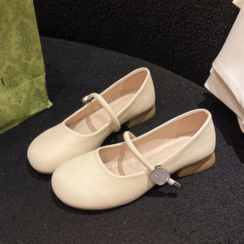 Pantofi Mary Jane pentru femei 2025 Primăvara și toamna Toc gros Stil francez Asociere delicată cu fuste Mocasini cu talpă moale și subțire Pantofi la modă Toc jos