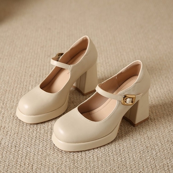 Pantofi Mary Jane pentru femei 2025 primăvara și toamna nouă franceză retro cu un singur cuvânt cataramă tocuri înalte toc gros impermeabil masă pantofi single
