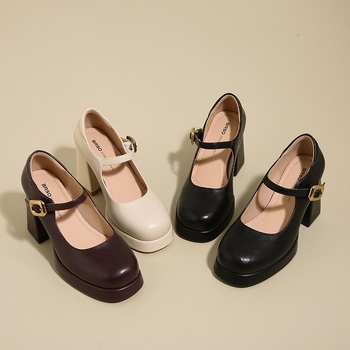 Pantofi Mary Jane pentru femei 2025 primăvara și toamna nouă franceză retro cu un singur cuvânt cataramă tocuri înalte toc gros impermeabil masă pantofi single