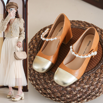 Παπούτσια Mary Jane σε στυλ Xiaoxiang, γυναικεία ρηχά παπούτσια με χοντρό τακούνι 2025, νέα γαλλικά παπούτσια μπαλέτου που ταιριάζουν με το χρώμα, μονόστρωτα παπούτσια ιδιοσυγκρασίας