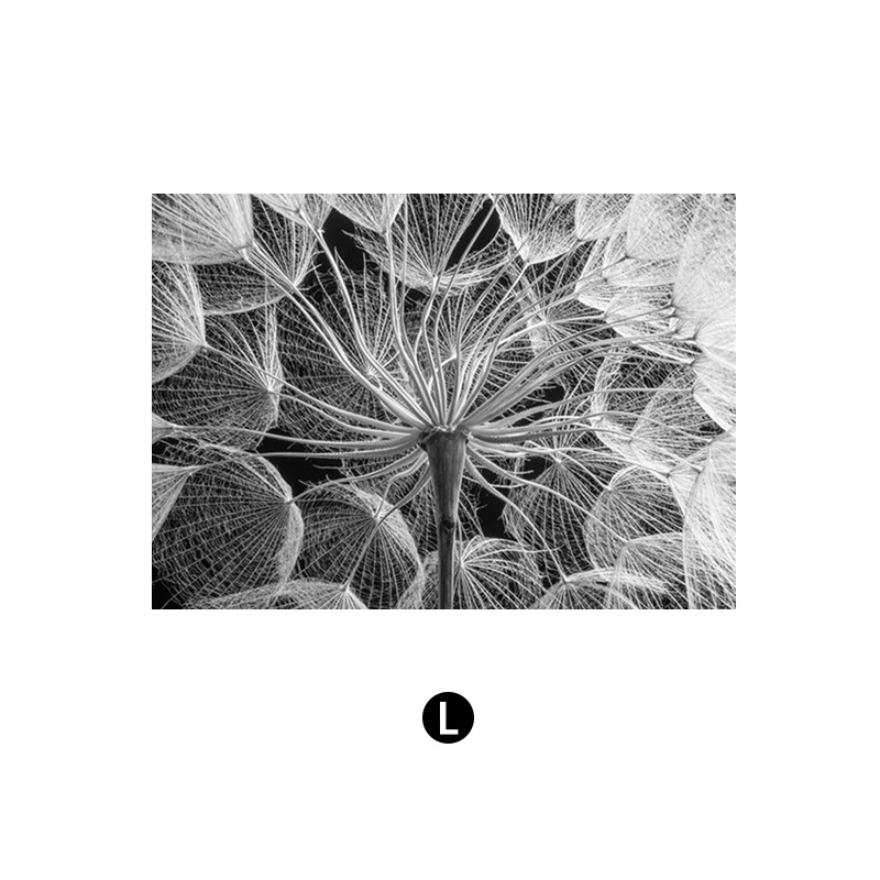 Северни модерни семпли черно-бели букви глухарче Декоративна картина за хол Малка свежа спалня Декоративна картина Принтиране на сърцевина