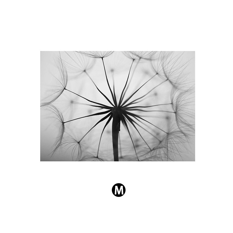 Северни модерни семпли черно-бели букви глухарче Декоративна картина за хол Малка свежа спалня Декоративна картина Принтиране на сърцевина