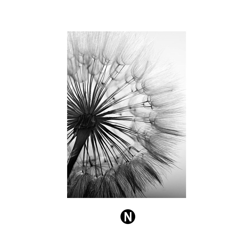 Северни модерни семпли черно-бели букви глухарче Декоративна картина за хол Малка свежа спалня Декоративна картина Принтиране на сърцевина