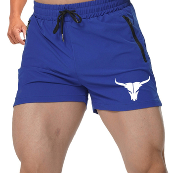 Väliskaubanduse spordikiiresti kuivavad lühikesed püksid Piiriülesed suvised laos Keskmise vöökohaga meeste voodrita kolmepunktilised lühikesed püksid, millel on hele plaat.