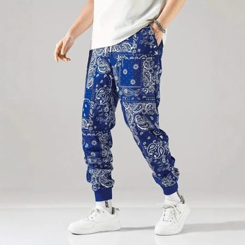 2025. aasta kevad- ja sügisesed uued Euroopa ja Ameerika Hongkongi stiilis lahtised meeste püksid, sügisesed populaarsed kamuflaažitrükiga spordipüksid ML01