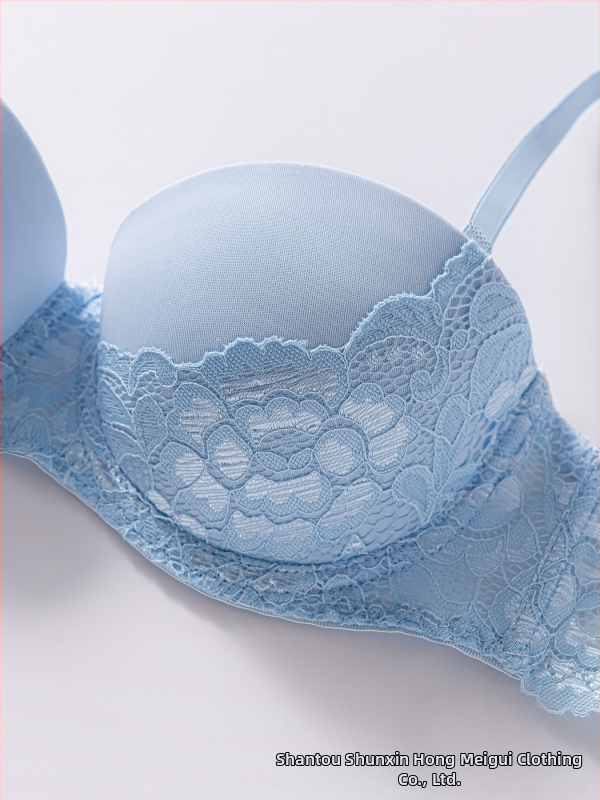 2024 m. Nauji užsienio prekybos europietiško ir amerikietiško stiliaus moteriški apatiniai, patogūs liemenėlių su lankeliais gamintojai, didmeninė prekyba push-up stiliaus europietiško ir amerikietiško stiliaus prekėmis