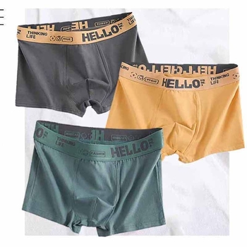 Vaļīgas apakšbikses 2024. gada vīriešu elpojošas apakšveļas bokseršorti, nepilngadīgi antibakteriālas apakšbikses, jauniešu bokseršorti, bikses