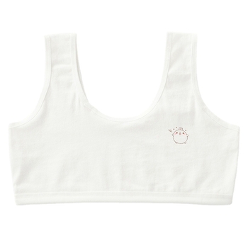 Tüdrukute aluspesu, õpilastele arengu alguses, keskkooliõpilastele, terasest rõngata topeltrinnahoidja, tüdrukute õlarihm, suur laste vest