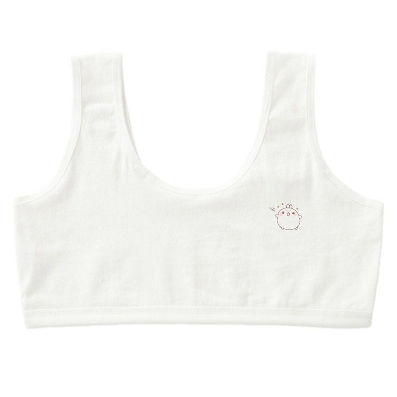 Tüdrukute aluspesu, õpilastele arengu alguses, keskkooliõpilastele, terasest rõngata topeltrinnahoidja, tüdrukute õlarihm, suur laste vest